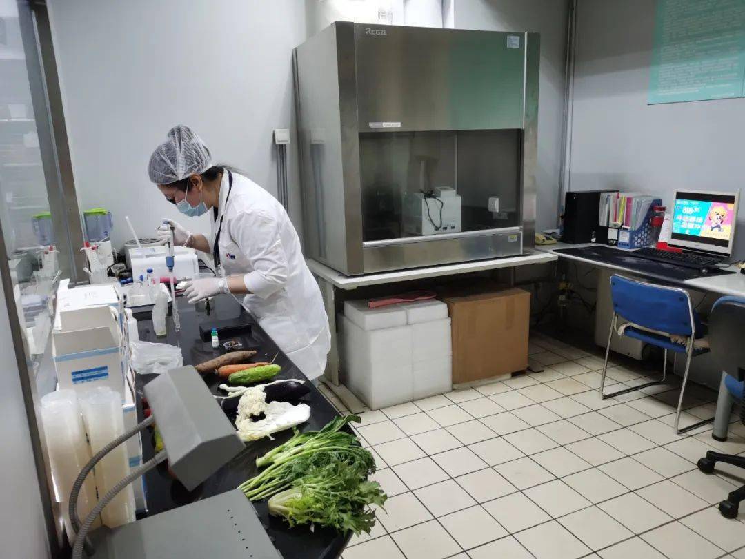 浦城食品检测实验室装修方案